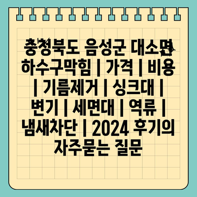 충청북도 음성군 대소면 하수구막힘 | 가격 | 비용 | 기름제거 | 싱크대 | 변기 | 세면대 | 역류 | 냄새차단 | 2024 후기