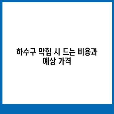 경기도 의정부시 의정부1동 하수구막힘 | 가격 | 비용 | 기름제거 | 싱크대 | 변기 | 세면대 | 역류 | 냄새차단 | 2024 후기