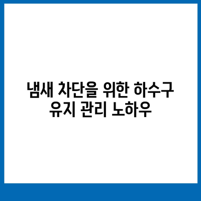 충청남도 아산시 인주면 하수구막힘 | 가격 | 비용 | 기름제거 | 싱크대 | 변기 | 세면대 | 역류 | 냄새차단 | 2024 후기