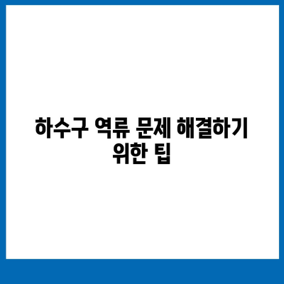 강원도 홍천군 내촌면 하수구막힘 | 가격 | 비용 | 기름제거 | 싱크대 | 변기 | 세면대 | 역류 | 냄새차단 | 2024 후기