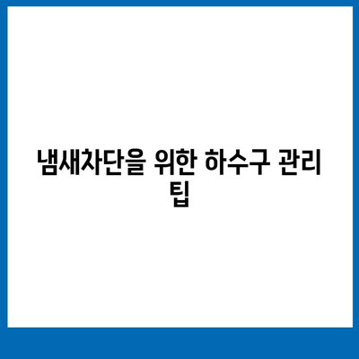 대전시 서구 용문동 하수구막힘 | 가격 | 비용 | 기름제거 | 싱크대 | 변기 | 세면대 | 역류 | 냄새차단 | 2024 후기