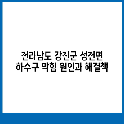 전라남도 강진군 성전면 하수구막힘 | 가격 | 비용 | 기름제거 | 싱크대 | 변기 | 세면대 | 역류 | 냄새차단 | 2024 후기