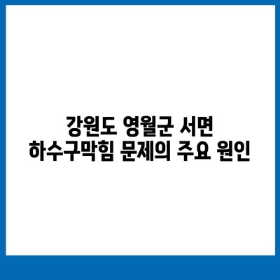 강원도 영월군 서면 하수구막힘 | 가격 | 비용 | 기름제거 | 싱크대 | 변기 | 세면대 | 역류 | 냄새차단 | 2024 후기