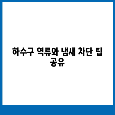 전라북도 부안군 동진면 하수구막힘 | 가격 | 비용 | 기름제거 | 싱크대 | 변기 | 세면대 | 역류 | 냄새차단 | 2024 후기