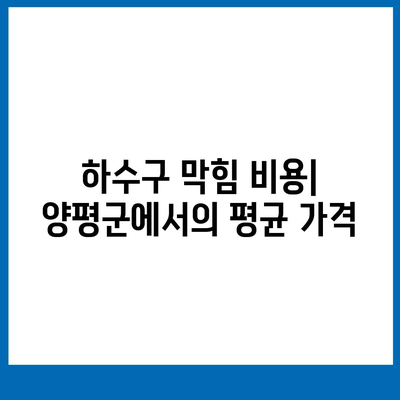 경기도 양평군 옥천면 하수구막힘 | 가격 | 비용 | 기름제거 | 싱크대 | 변기 | 세면대 | 역류 | 냄새차단 | 2024 후기