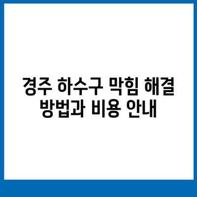 경상북도 경주시 서면 하수구막힘 | 가격 | 비용 | 기름제거 | 싱크대 | 변기 | 세면대 | 역류 | 냄새차단 | 2024 후기