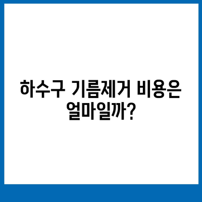 대전시 유성구 전민동 하수구막힘 | 가격 | 비용 | 기름제거 | 싱크대 | 변기 | 세면대 | 역류 | 냄새차단 | 2024 후기