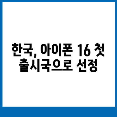 아이폰 16 한국 1차 출시국 확정, 프로 모델 디스플레이 확장