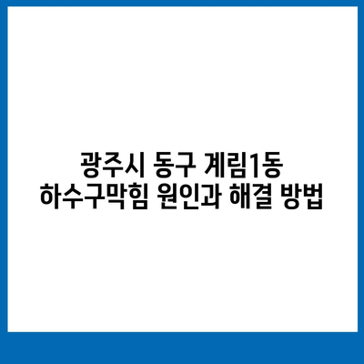 광주시 동구 계림1동 하수구막힘 | 가격 | 비용 | 기름제거 | 싱크대 | 변기 | 세면대 | 역류 | 냄새차단 | 2024 후기