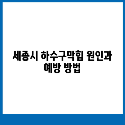 세종시 세종특별자치시 고운동 하수구막힘 | 가격 | 비용 | 기름제거 | 싱크대 | 변기 | 세면대 | 역류 | 냄새차단 | 2024 후기