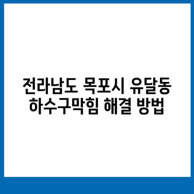 전라남도 목포시 유달동 하수구막힘 | 가격 | 비용 | 기름제거 | 싱크대 | 변기 | 세면대 | 역류 | 냄새차단 | 2024 후기