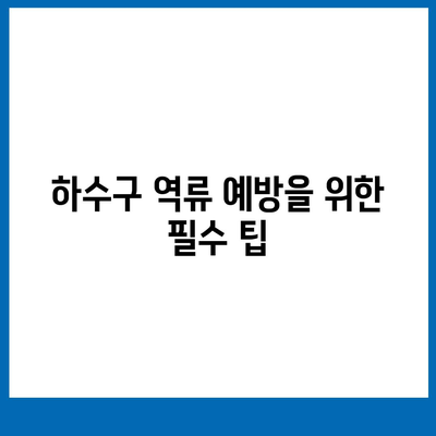 전라북도 임실군 성수면 하수구막힘 | 가격 | 비용 | 기름제거 | 싱크대 | 변기 | 세면대 | 역류 | 냄새차단 | 2024 후기