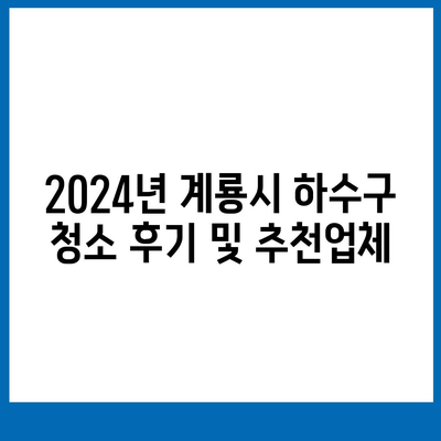 충청남도 계룡시 신도안면 하수구막힘 | 가격 | 비용 | 기름제거 | 싱크대 | 변기 | 세면대 | 역류 | 냄새차단 | 2024 후기