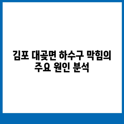 경기도 김포시 대곶면 하수구막힘 | 가격 | 비용 | 기름제거 | 싱크대 | 변기 | 세면대 | 역류 | 냄새차단 | 2024 후기