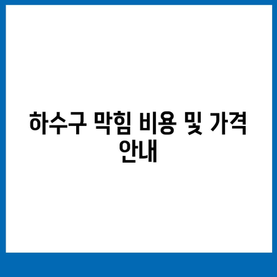 부산시 강서구 녹산동 하수구막힘 | 가격 | 비용 | 기름제거 | 싱크대 | 변기 | 세면대 | 역류 | 냄새차단 | 2024 후기