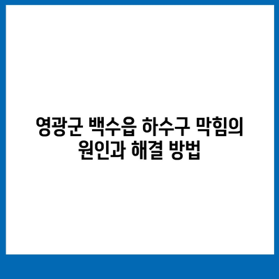 전라남도 영광군 백수읍 하수구막힘 | 가격 | 비용 | 기름제거 | 싱크대 | 변기 | 세면대 | 역류 | 냄새차단 | 2024 후기