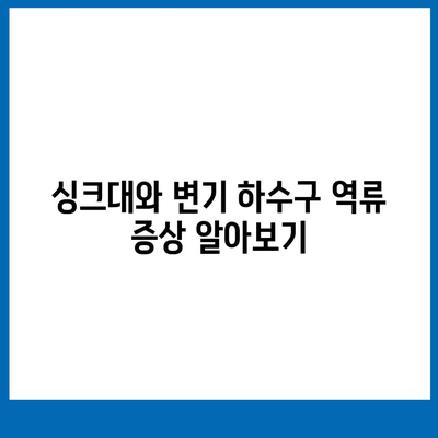 대전시 서구 탄방동 하수구막힘 | 가격 | 비용 | 기름제거 | 싱크대 | 변기 | 세면대 | 역류 | 냄새차단 | 2024 후기