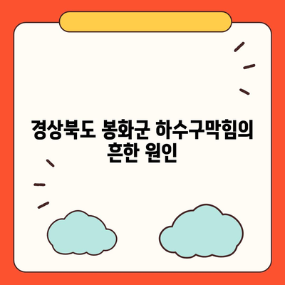 경상북도 봉화군 봉화읍 하수구막힘 | 가격 | 비용 | 기름제거 | 싱크대 | 변기 | 세면대 | 역류 | 냄새차단 | 2024 후기