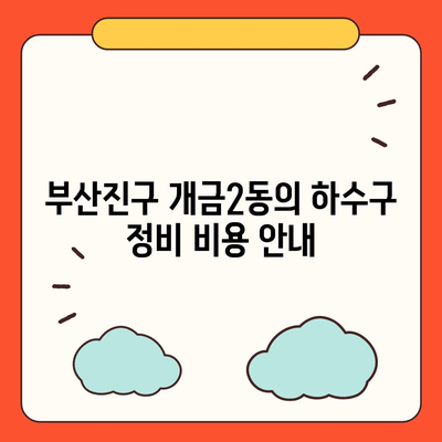 부산시 부산진구 개금2동 하수구막힘 | 가격 | 비용 | 기름제거 | 싱크대 | 변기 | 세면대 | 역류 | 냄새차단 | 2024 후기