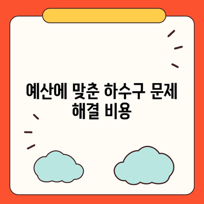 전라북도 임실군 강진면 하수구막힘 | 가격 | 비용 | 기름제거 | 싱크대 | 변기 | 세면대 | 역류 | 냄새차단 | 2024 후기