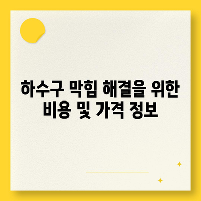 제주도 제주시 이호동 하수구막힘 | 가격 | 비용 | 기름제거 | 싱크대 | 변기 | 세면대 | 역류 | 냄새차단 | 2024 후기