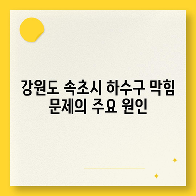 강원도 속초시 동명동 하수구막힘 | 가격 | 비용 | 기름제거 | 싱크대 | 변기 | 세면대 | 역류 | 냄새차단 | 2024 후기