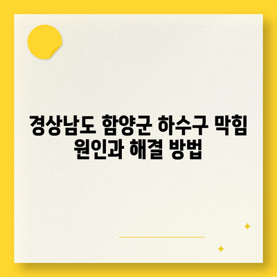 경상남도 함양군 병곡면 하수구막힘 | 가격 | 비용 | 기름제거 | 싱크대 | 변기 | 세면대 | 역류 | 냄새차단 | 2024 후기