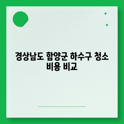 경상남도 함양군 서상면 하수구막힘 | 가격 | 비용 | 기름제거 | 싱크대 | 변기 | 세면대 | 역류 | 냄새차단 | 2024 후기