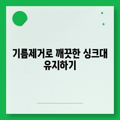 대전시 유성구 노은1동 하수구막힘 | 가격 | 비용 | 기름제거 | 싱크대 | 변기 | 세면대 | 역류 | 냄새차단 | 2024 후기