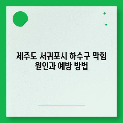 제주도 서귀포시 예래동 하수구막힘 | 가격 | 비용 | 기름제거 | 싱크대 | 변기 | 세면대 | 역류 | 냄새차단 | 2024 후기