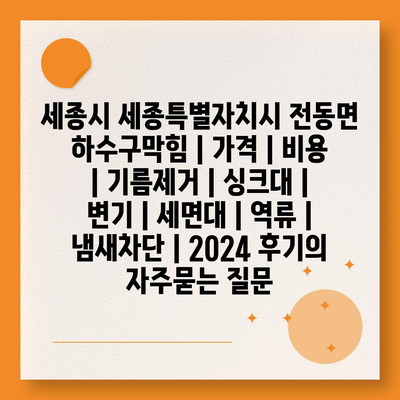 세종시 세종특별자치시 전동면 하수구막힘 | 가격 | 비용 | 기름제거 | 싱크대 | 변기 | 세면대 | 역류 | 냄새차단 | 2024 후기