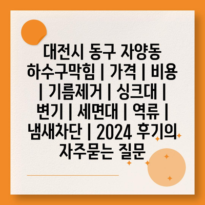 대전시 동구 자양동 하수구막힘 | 가격 | 비용 | 기름제거 | 싱크대 | 변기 | 세면대 | 역류 | 냄새차단 | 2024 후기