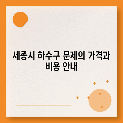 세종시 세종특별자치시 보람동 하수구막힘 | 가격 | 비용 | 기름제거 | 싱크대 | 변기 | 세면대 | 역류 | 냄새차단 | 2024 후기