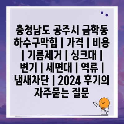 충청남도 공주시 금학동 하수구막힘 | 가격 | 비용 | 기름제거 | 싱크대 | 변기 | 세면대 | 역류 | 냄새차단 | 2024 후기