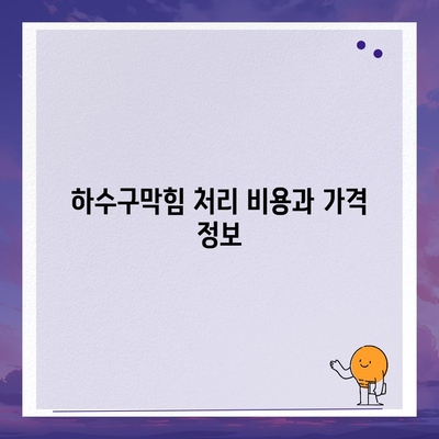 광주시 남구 주월1동 하수구막힘 | 가격 | 비용 | 기름제거 | 싱크대 | 변기 | 세면대 | 역류 | 냄새차단 | 2024 후기