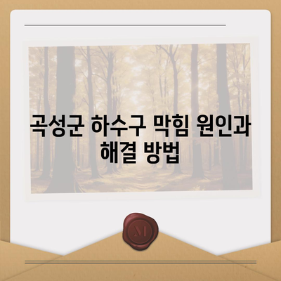 전라남도 곡성군 죽곡면 하수구막힘 | 가격 | 비용 | 기름제거 | 싱크대 | 변기 | 세면대 | 역류 | 냄새차단 | 2024 후기