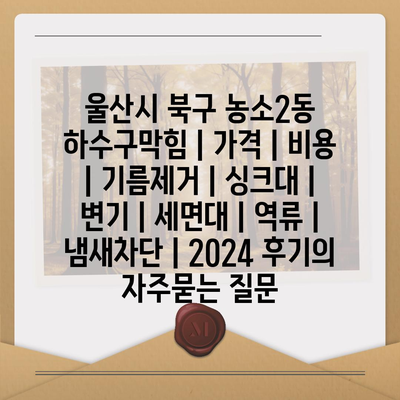 울산시 북구 농소2동 하수구막힘 | 가격 | 비용 | 기름제거 | 싱크대 | 변기 | 세면대 | 역류 | 냄새차단 | 2024 후기