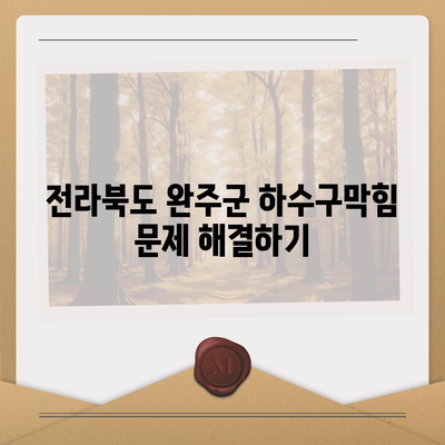 전라북도 완주군 운주면 하수구막힘 | 가격 | 비용 | 기름제거 | 싱크대 | 변기 | 세면대 | 역류 | 냄새차단 | 2024 후기