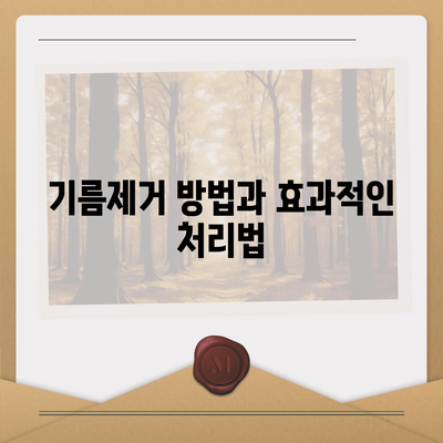 대전시 동구 대청동 하수구막힘 | 가격 | 비용 | 기름제거 | 싱크대 | 변기 | 세면대 | 역류 | 냄새차단 | 2024 후기