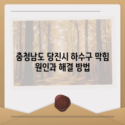 충청남도 당진시 고대면 하수구막힘 | 가격 | 비용 | 기름제거 | 싱크대 | 변기 | 세면대 | 역류 | 냄새차단 | 2024 후기