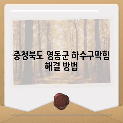 충청북도 영동군 용화면 하수구막힘 | 가격 | 비용 | 기름제거 | 싱크대 | 변기 | 세면대 | 역류 | 냄새차단 | 2024 후기