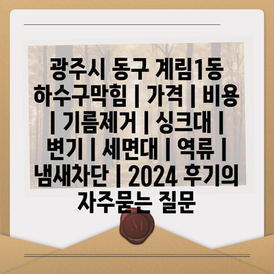 광주시 동구 계림1동 하수구막힘 | 가격 | 비용 | 기름제거 | 싱크대 | 변기 | 세면대 | 역류 | 냄새차단 | 2024 후기