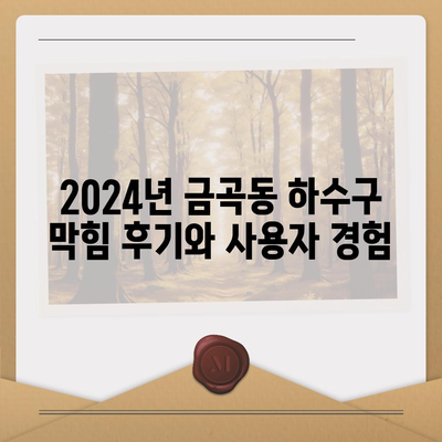 경기도 남양주시 금곡동 하수구막힘 | 가격 | 비용 | 기름제거 | 싱크대 | 변기 | 세면대 | 역류 | 냄새차단 | 2024 후기