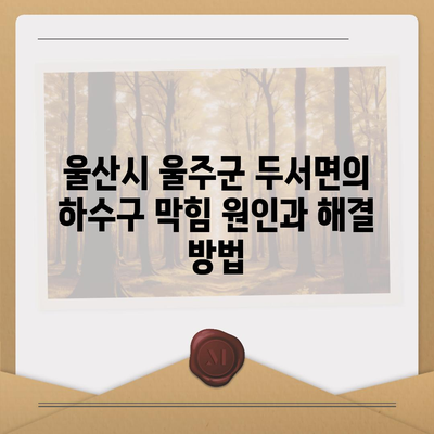 울산시 울주군 두서면 하수구막힘 | 가격 | 비용 | 기름제거 | 싱크대 | 변기 | 세면대 | 역류 | 냄새차단 | 2024 후기