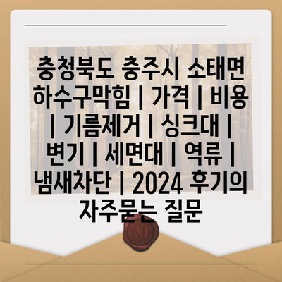 충청북도 충주시 소태면 하수구막힘 | 가격 | 비용 | 기름제거 | 싱크대 | 변기 | 세면대 | 역류 | 냄새차단 | 2024 후기