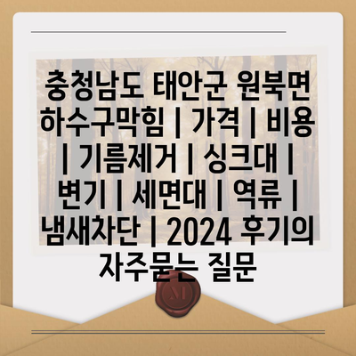 충청남도 태안군 원북면 하수구막힘 | 가격 | 비용 | 기름제거 | 싱크대 | 변기 | 세면대 | 역류 | 냄새차단 | 2024 후기