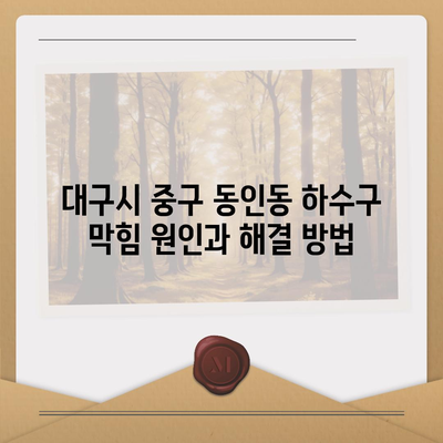 대구시 중구 동인동 하수구막힘 | 가격 | 비용 | 기름제거 | 싱크대 | 변기 | 세면대 | 역류 | 냄새차단 | 2024 후기