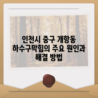 인천시 중구 개항동 하수구막힘 | 가격 | 비용 | 기름제거 | 싱크대 | 변기 | 세면대 | 역류 | 냄새차단 | 2024 후기