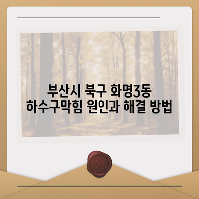 부산시 북구 화명3동 하수구막힘 | 가격 | 비용 | 기름제거 | 싱크대 | 변기 | 세면대 | 역류 | 냄새차단 | 2024 후기