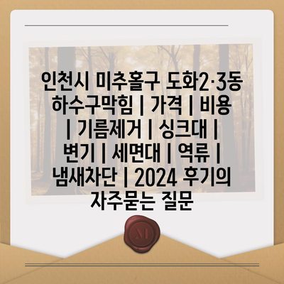 인천시 미추홀구 도화2·3동 하수구막힘 | 가격 | 비용 | 기름제거 | 싱크대 | 변기 | 세면대 | 역류 | 냄새차단 | 2024 후기